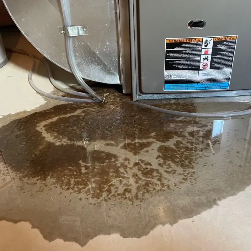Pipe Burst and Leak Restoration in Clarence, NY